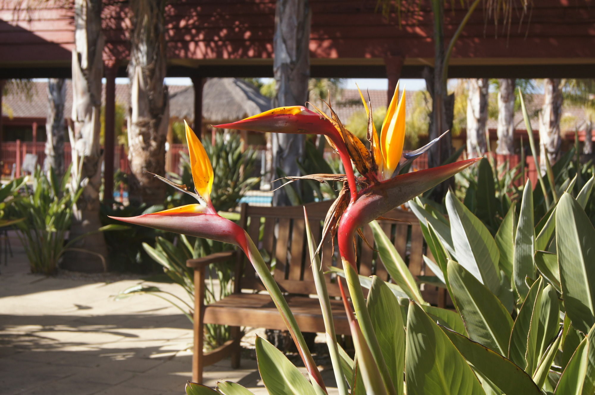 Quality Hotel Lakeside Bendigo Bagian luar foto